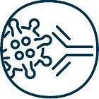 Virus und Antikörper